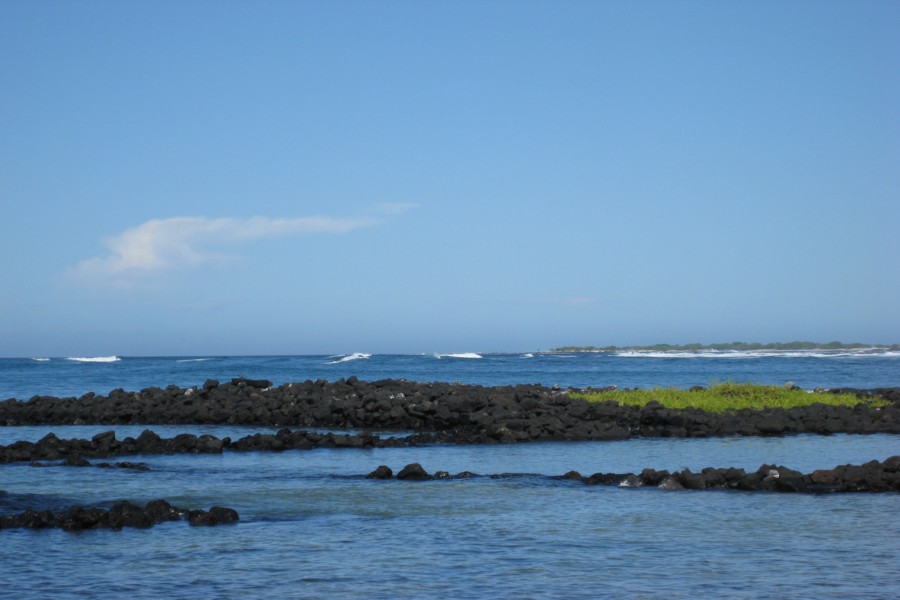 ../image/honokohau bay fish pond 2.jpg